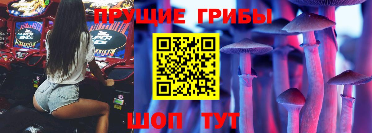 Богородск  Галлюциногенные грибы Magic Shrooms  Вход с VPN  Псилоцибиновые грибы прущие грибы 